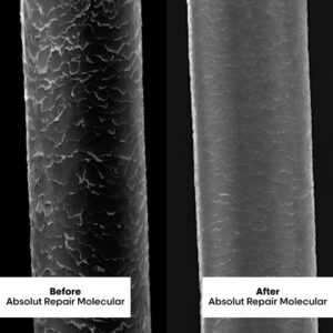 L'Oréal Professionnel Absolut Repair Molecular Leave-In-Mask 100ml