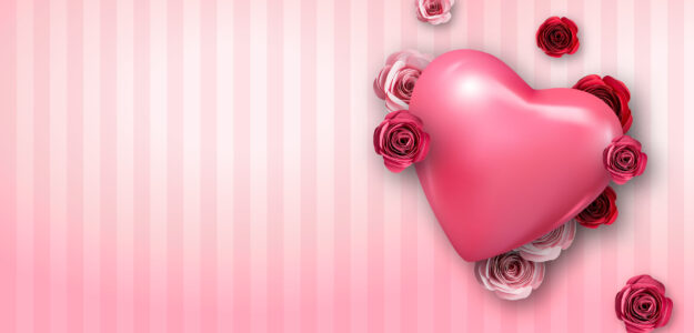 Everythingstellamaris